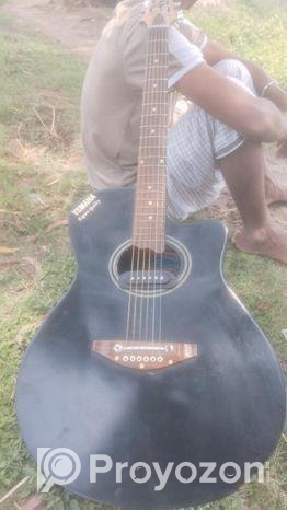 Used Guitar for Sale Budget Friendly