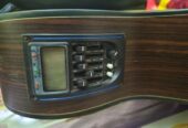 Semi Acoustic Guiter