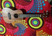 Aex Model Guiter