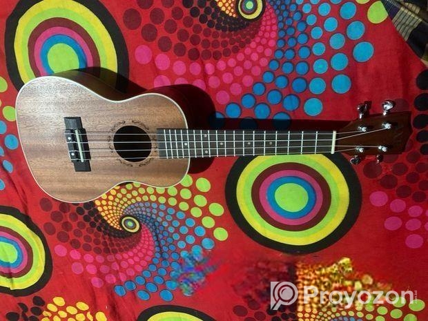 Aex Model Guiter