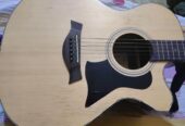 Semi Acoustic Guiter