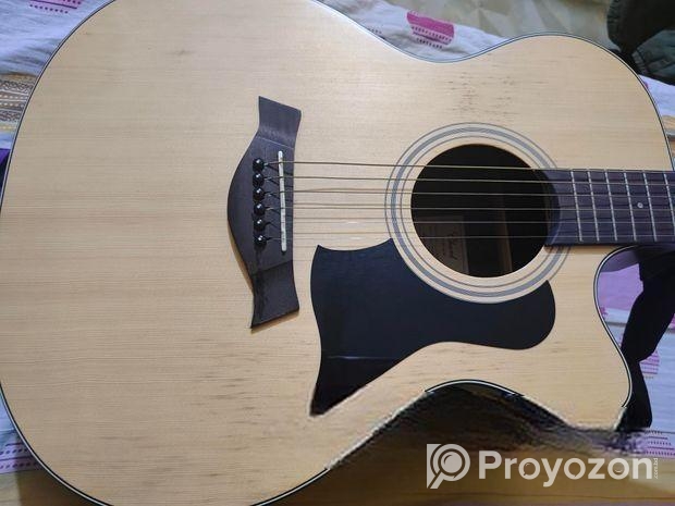 Semi Acoustic Guiter