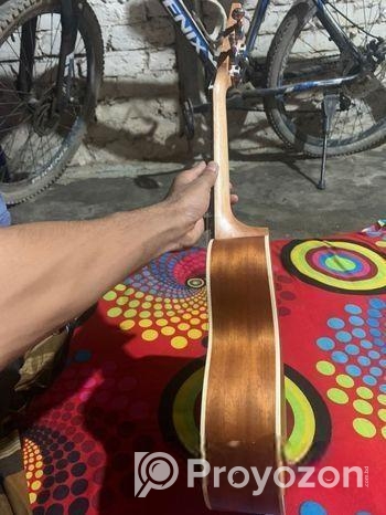 Aex Model Guiter