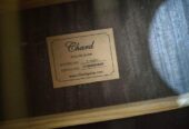 Semi Acoustic Guiter