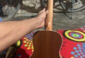 Aex Model Guiter