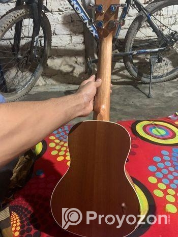 Aex Model Guiter