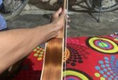 Aex Model Guiter