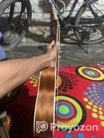 Aex Model Guiter