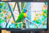 Sony Plus-24″ Inchi Non Smart Basic TV