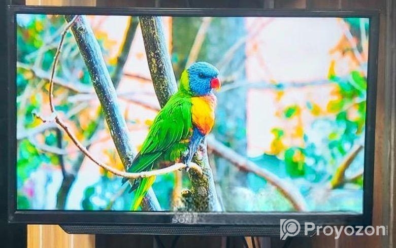 Sony Plus-24″ Inchi Non Smart Basic TV