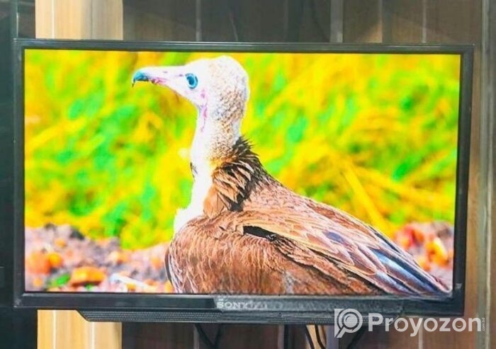 Sony Plus-24″ Inchi Non Smart Basic TV