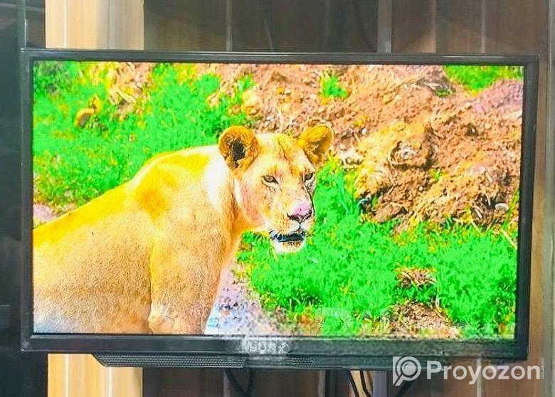 Sony Plus-24″ Inchi Non Smart Basic TV