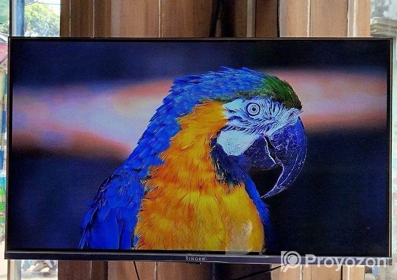 SINGER-32″ Inchi Google Borderless Voice Control TV