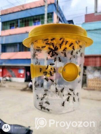টারজান ফেরোমন ফাঁদ
