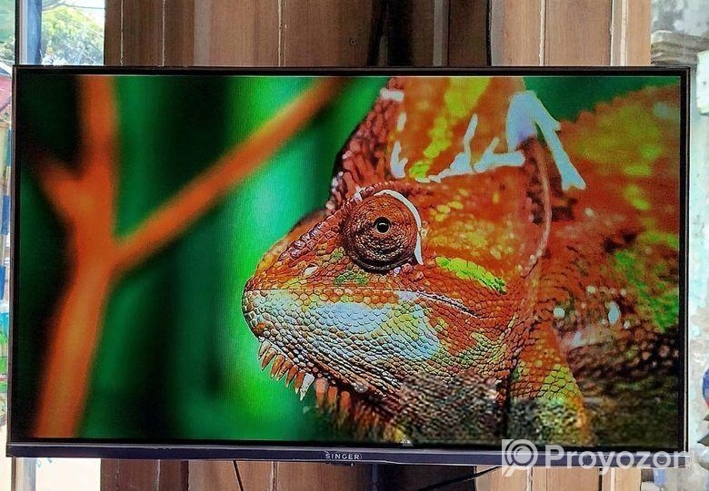 SINGER-32″ Inchi Google Borderless Voice Control TV
