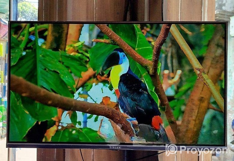 SINGER-32″ Inchi Google Borderless Voice Control TV