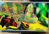 SONY PLUS-55″ INCHI 4K ANDROID TV