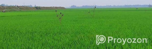 কৃষি জমি, বাড়ি করার উপযোগী,
