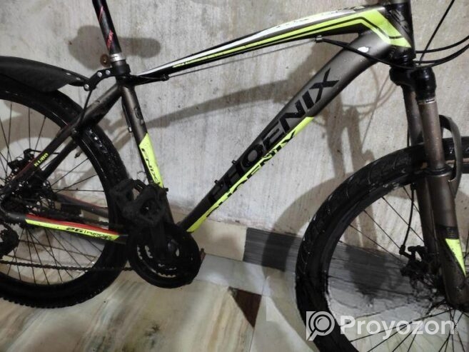 Phoenix for sale