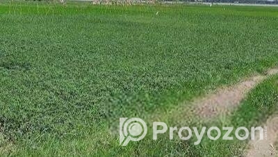 fitted-90_2025-06-26_00-34-49