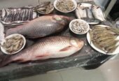 দেশীয় সুস্বাদু মজাদার নদীর চিংড়ি মাছ