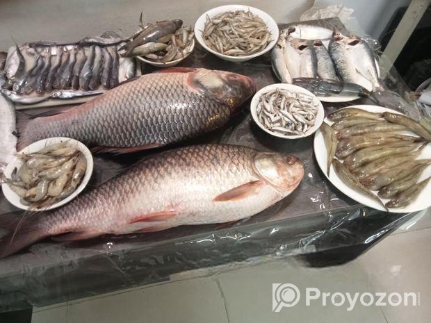 দেশীয় সুস্বাদু মজাদার নদীর চিংড়ি মাছ