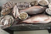 দেশীয় সুস্বাদু মজাদার নদীর চিংড়ি মাছ
