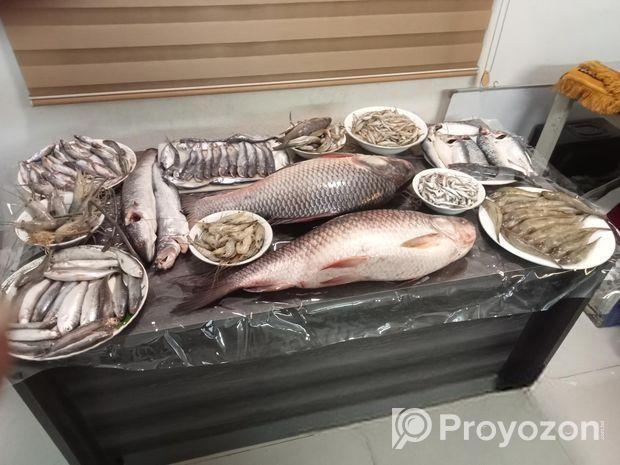দেশীয় সুস্বাদু মজাদার নদীর চিংড়ি মাছ