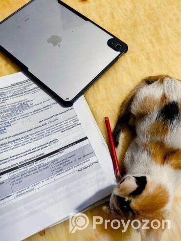 Cute Cat Sell Post