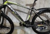 Phoenix for sale