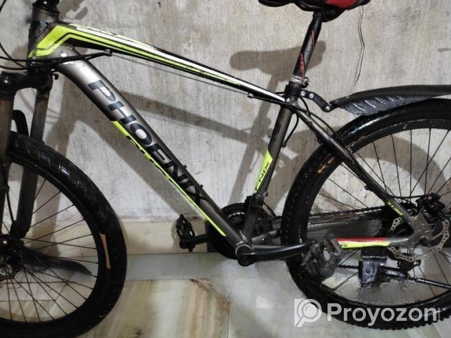 Phoenix for sale