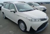 Toyota Axio EX White 4.5/40k km 2020