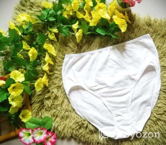 মাত্র ৩৯৯ টাকায় ১ বক্স ৬ পিস পেন্টি পাচ্ছেন