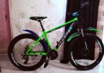 Phoenix Bicycle for sale