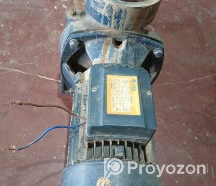 ৪ঘুরা মঠর ৪ইন্চি পাম