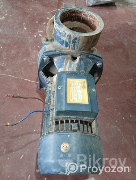 ৪ঘুরা মঠর ৪ইন্চি পাম