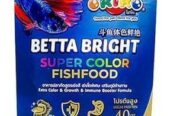 BETTA BRIGHT