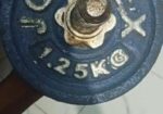 2.5kg Mini Sizw Burbell