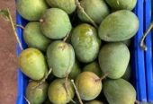 হিম সাগর আম