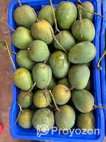 হিম সাগর আম