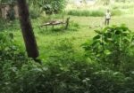 মেন রাস্তার পাশে জমি সেল করবো
