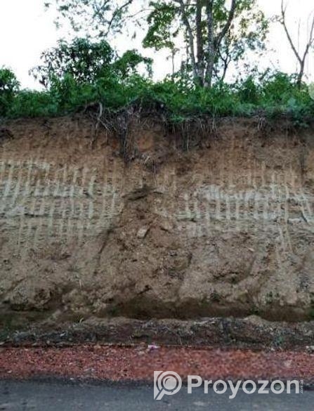 মনোরম উঁচু টিলা জমি বিক্রয়