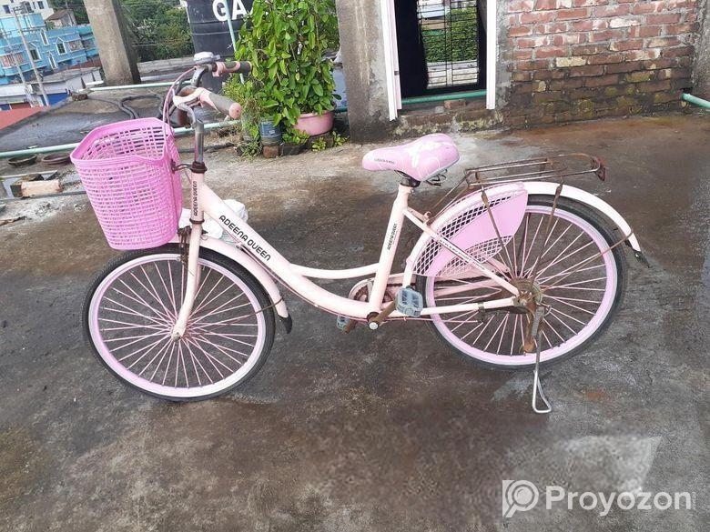 লেডিস সাইকেল