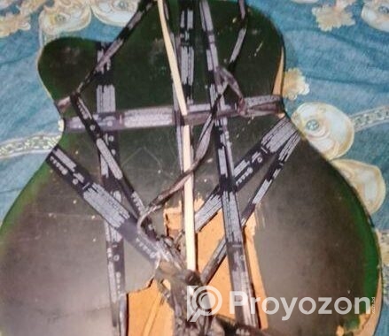 ইন্ডিয়ান সিগনেচার গিটার