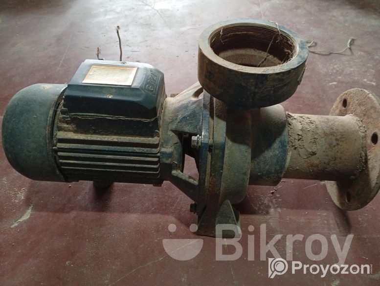 ৪ঘুরা মঠর ৪ইন্চি পাম