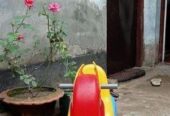 Elephant rider Rocket – indoor toys