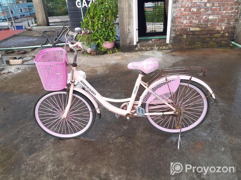 লেডিস সাইকেল