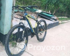 fitted-11_2025-07-31_10-29-09