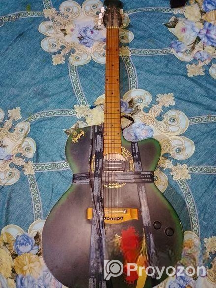 ইন্ডিয়ান সিগনেচার গিটার