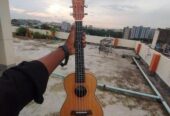 Ukelele Sell hobe